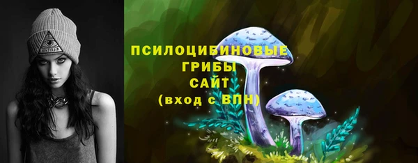 ALPHA-PVP Каменка