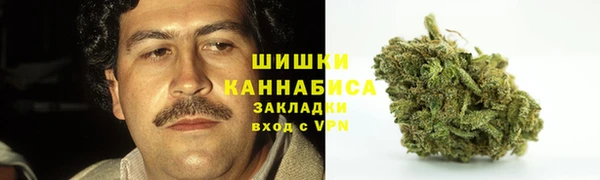 прущая мука Каменногорск