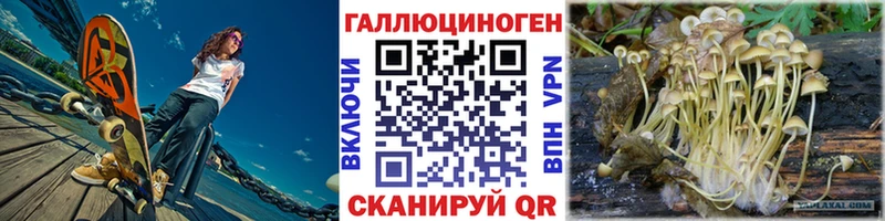 Купить  Кстово  Псилоцибиновые грибы MAGIC MUSHROOMS 